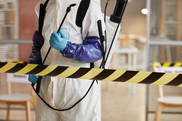 Professional Odor Removal technician working in Roanoke, TX
